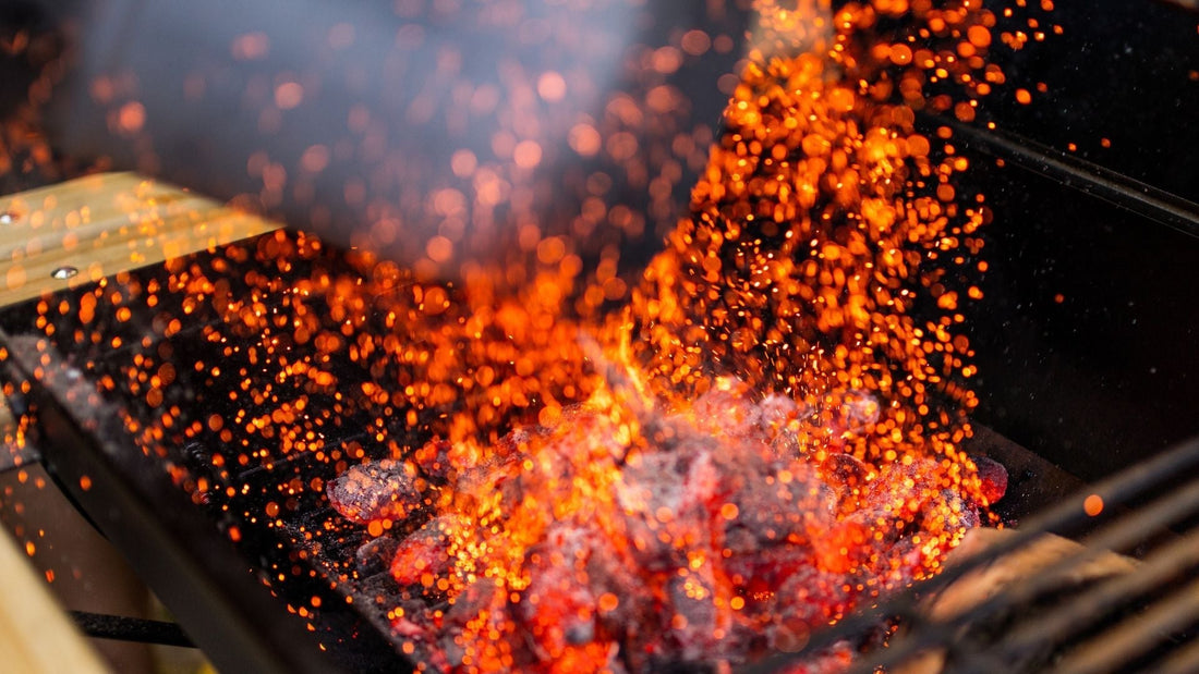 De perfecte BBQ start met het juiste hout of houtskool